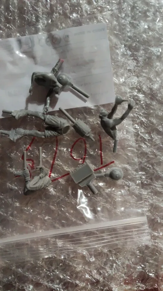 Buyer photo of this resin kit