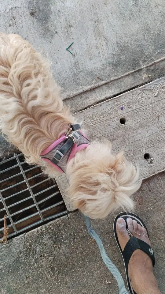 구매후기