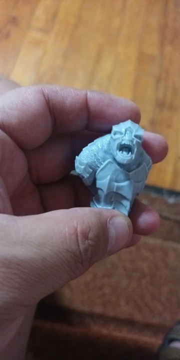 Buyer photo of this resin kit