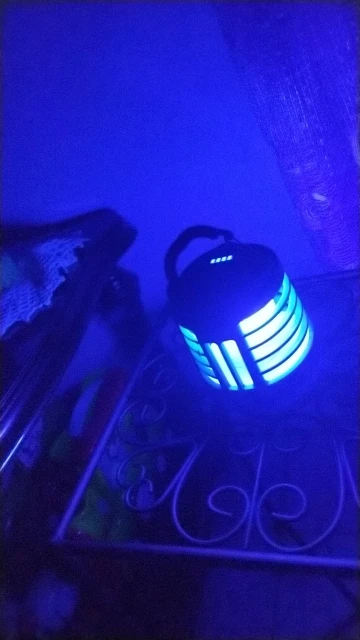 리뷰 사진