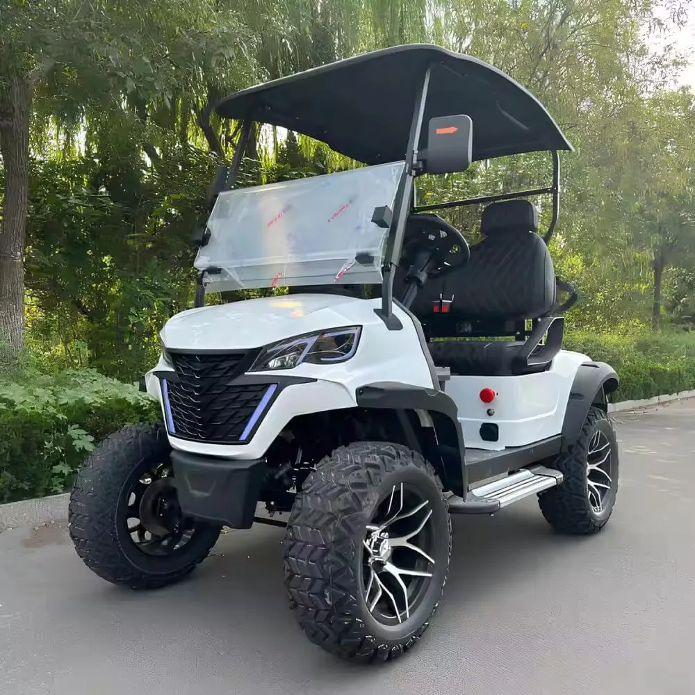 Golf Cart Factory Direct Sales 4 Wheel Drive 4000w Motor Golf Cart With Golf Bag Holder Buggy Car