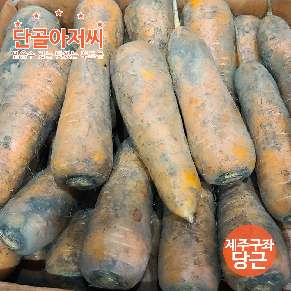 제주 구좌 흙당근 (중) 2kg 부터 높은당도 아삭하면서 부드러운식감 제주산지직송