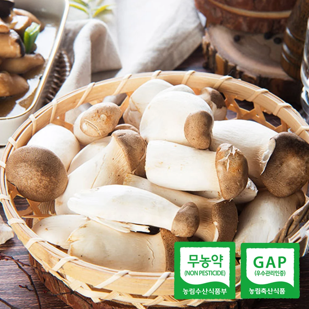 [보성우체국] 새송이버섯/Hosan Ranch pesticide-free king oyster mushroom 1kg for stewing, product, special product