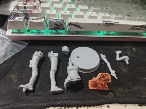 Buyer photo of this resin kit