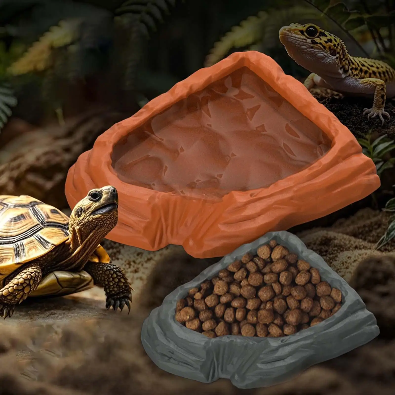 Reptile Water Dish …