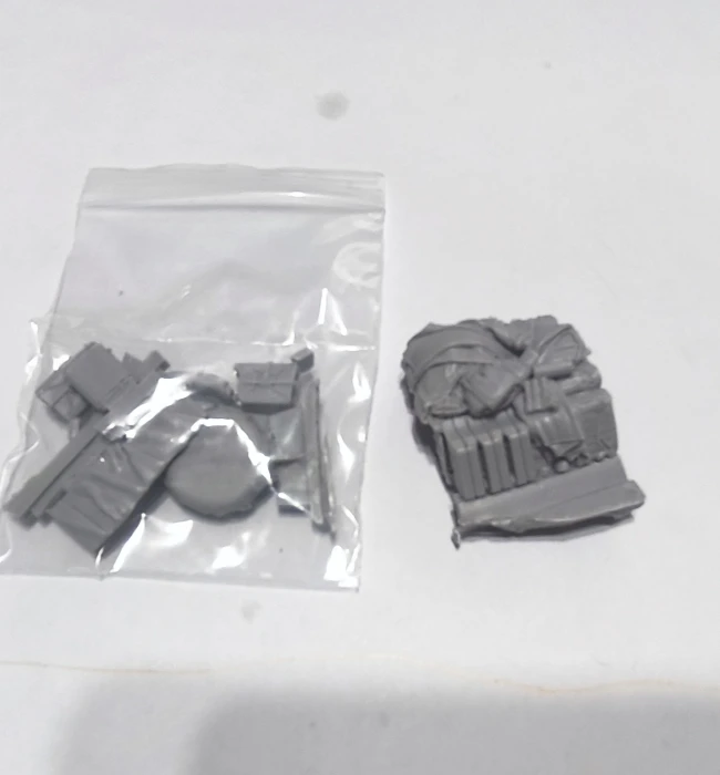 Buyer photo of this resin kit