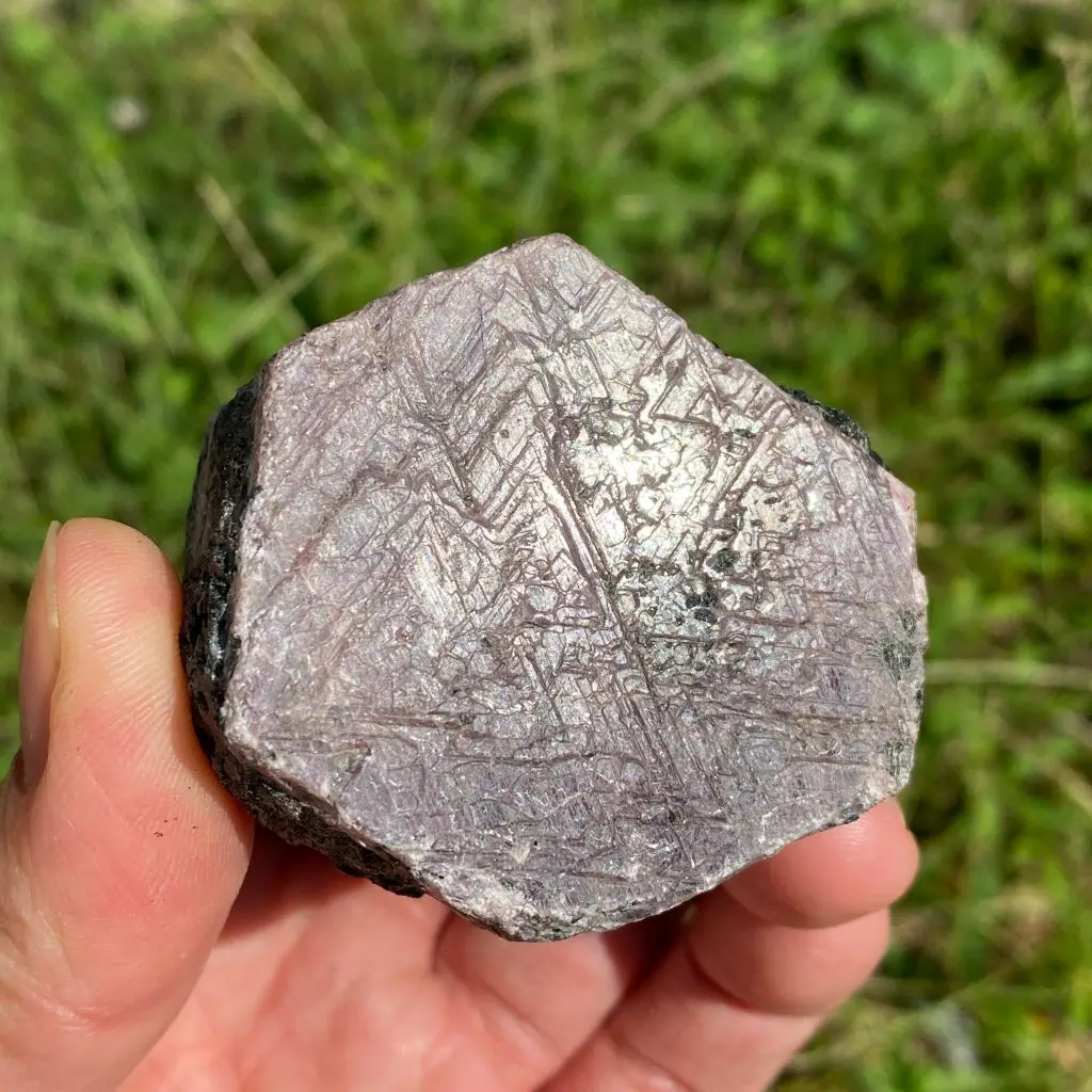 Natural Record Keep…