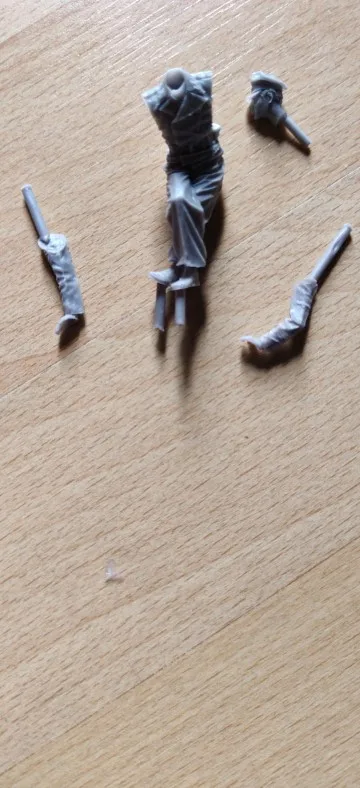 Buyer photo of this resin kit