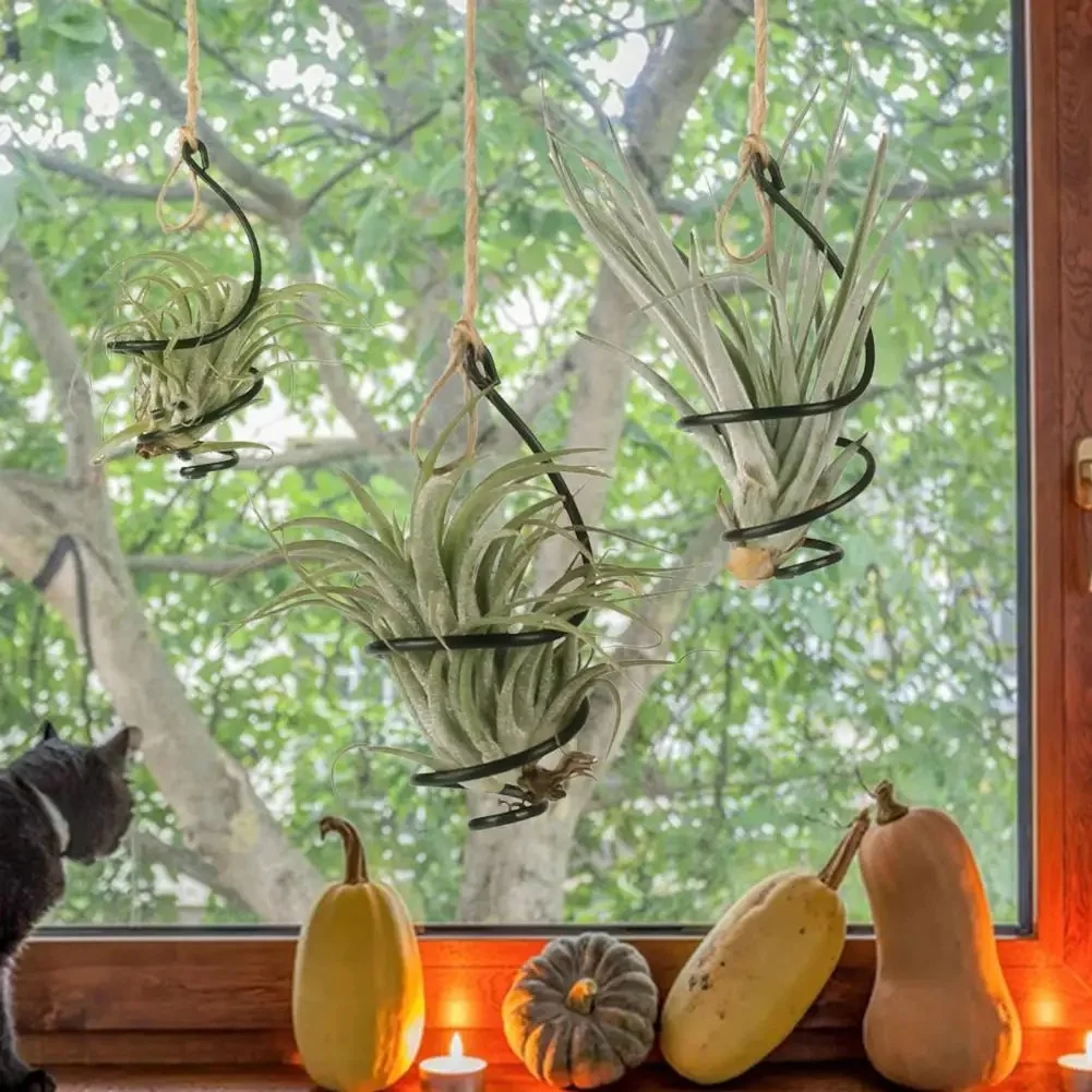 Support de plantes à air comprimé en métal, 6 pièces, conteneur de fraises andsia, pour balcon et jardin, décoration de maison