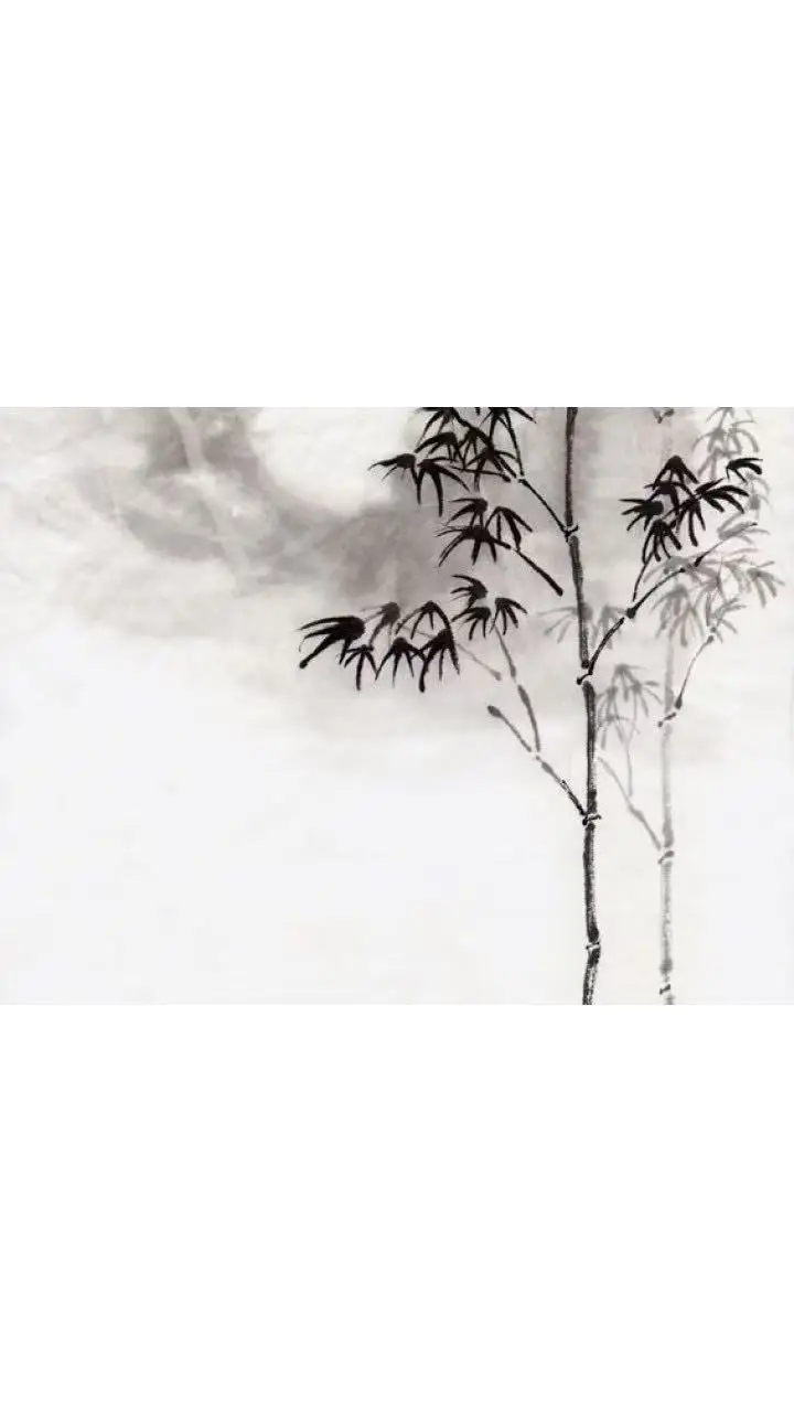 

EMS Machine 6500W Hi-emt Стимулятор мышц Технология похудения тела Скульптурный салон R-F NOVA Живот