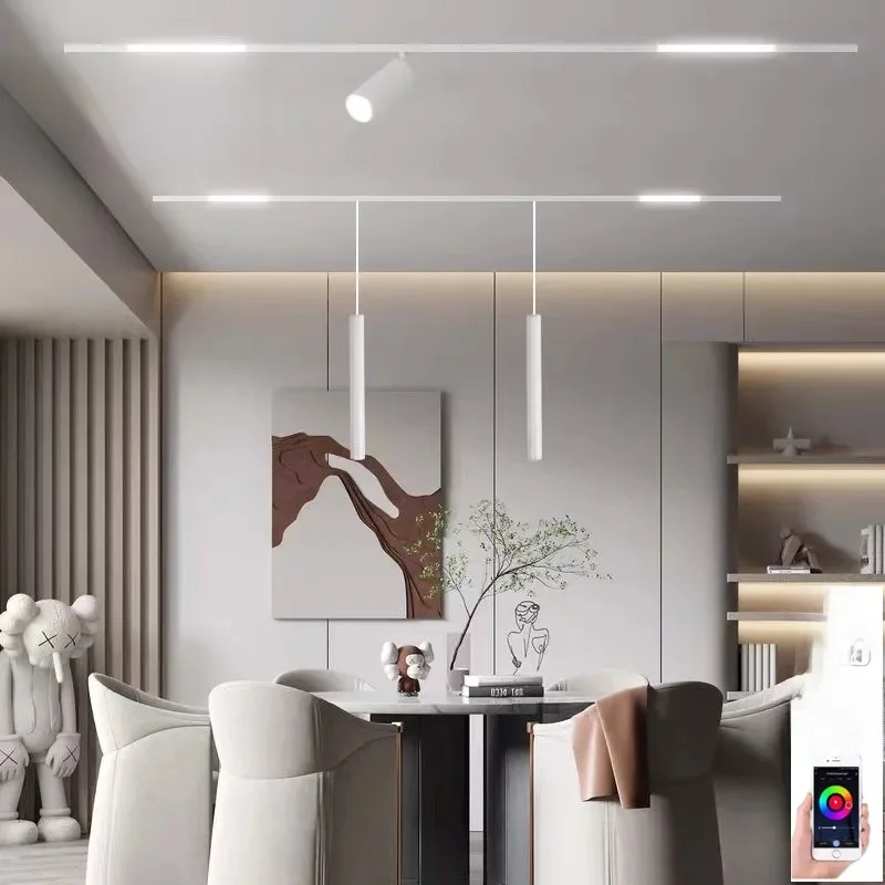 Zigbee Tuya Smart Magnetische LED Track Light CCT Dimbare Kleurtemperatuurlamp 2MQTT Home Assistant Alice Alexa 48V Plafondlampen Rail Spot - afbeelding 2