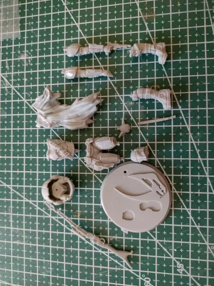 Buyer photo of this resin kit