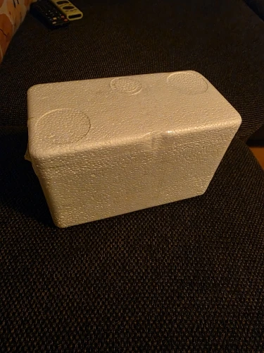 Buyer photo of this resin kit