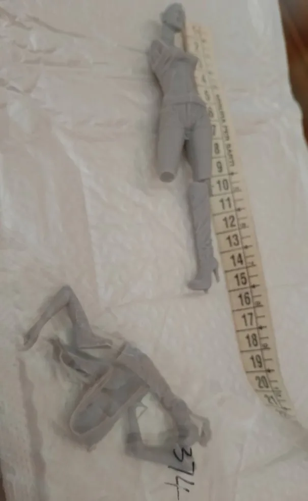 Buyer photo of this resin kit