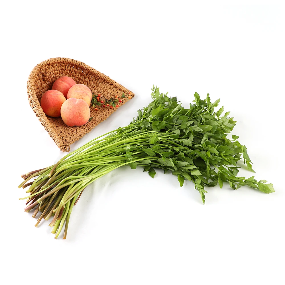 sion farm Cheongdo water parsley minari 1kg