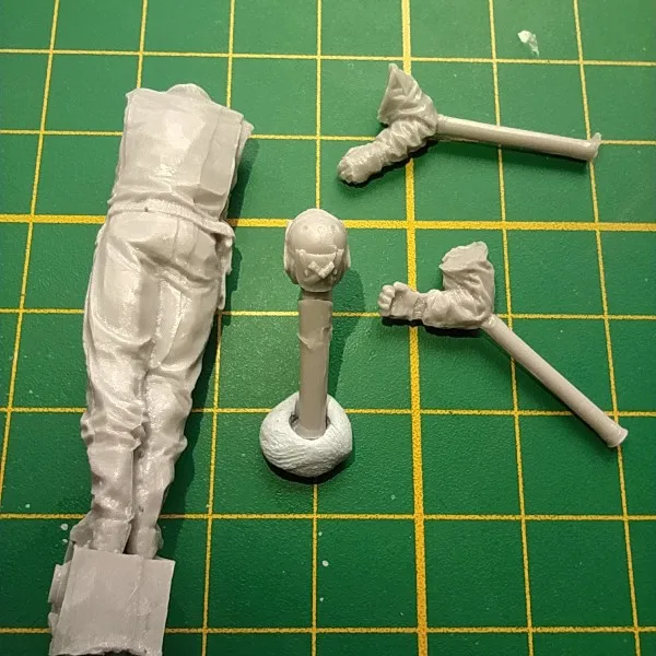 Buyer photo of this resin kit
