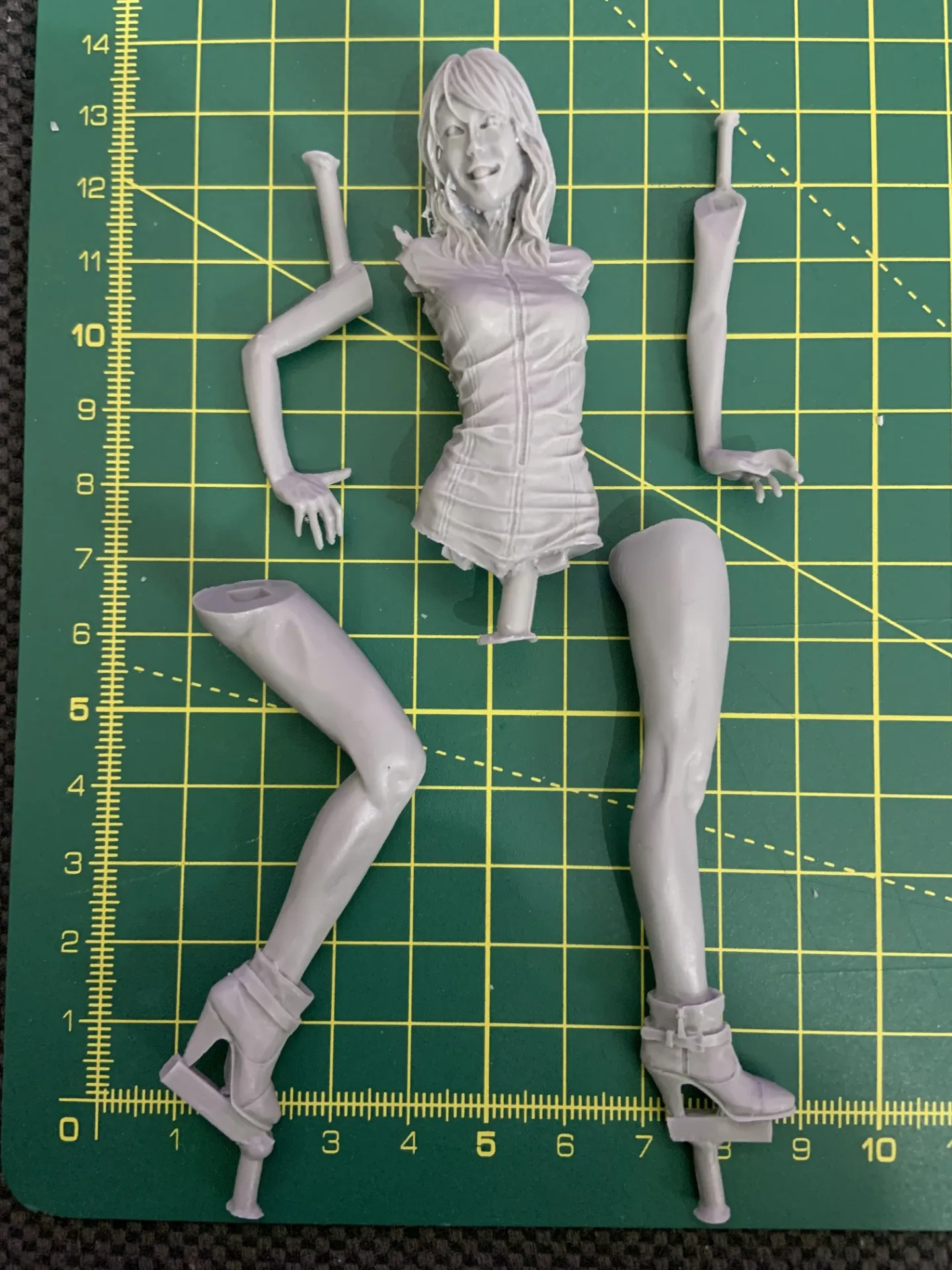 Buyer photo of this resin kit