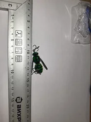 Imagen de reseña 1