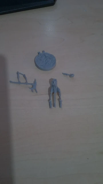 Buyer photo of this resin kit
