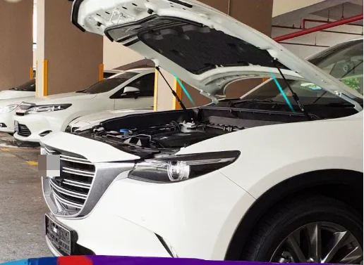 

Комплект из 2 газовых упоров капота (амортизаторов) для Mazda CX-9 (2016-2022, 2023) — передние, карбоновые, для модификации, с газовыми пружинами и поршневыми штоками