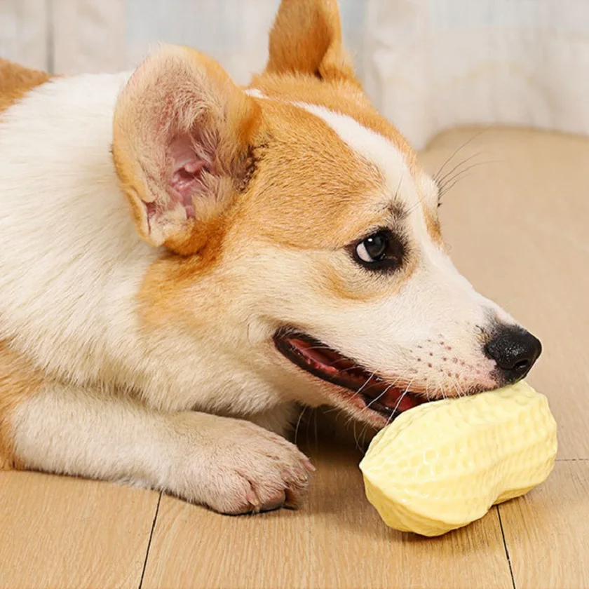 2 Pest Peanut Toys Pet KONOMI Pup