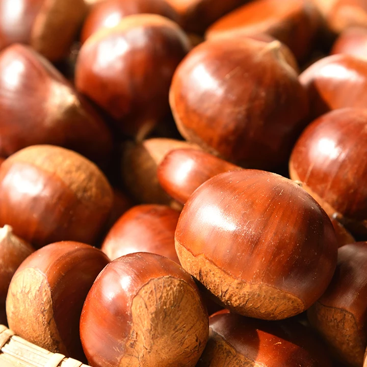 24년 국산 햇밤 대 알밤 단밤 생밤