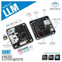 M5stack Official LLM (Large Language Model) Module (AX630C)