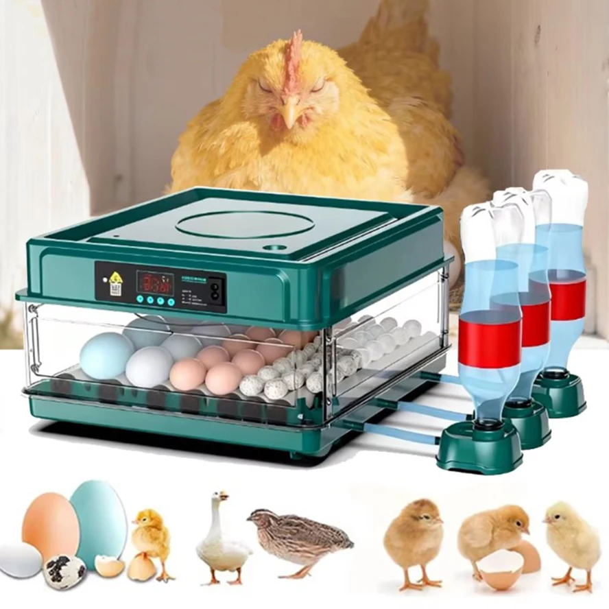 Incubateur d'œufs automatique 36/24 œufs, entièrement automatique avec lit d'eau ionique automatique pour couver des oiseaux/cigarières/œufs