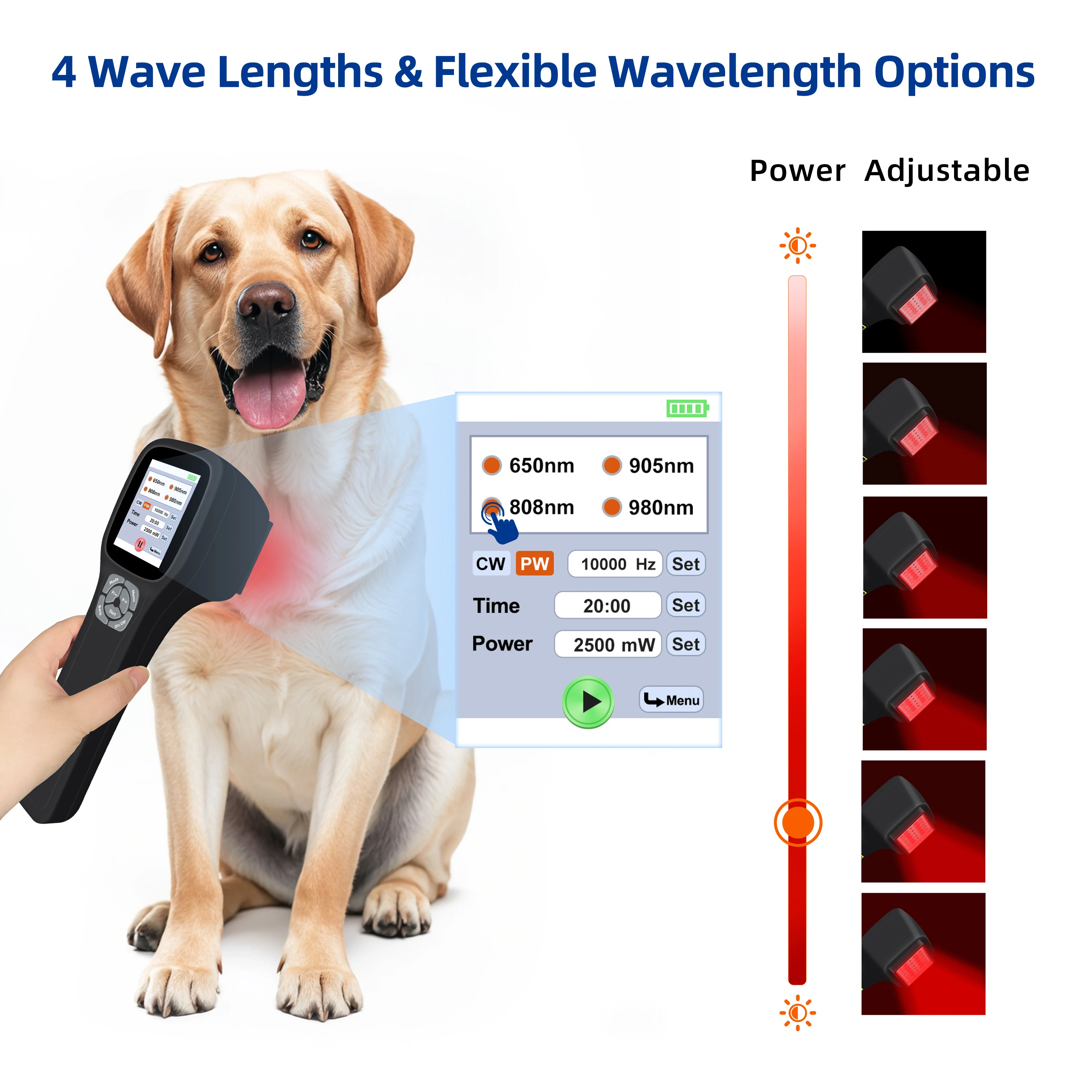 

ZJZK Cold Laser Therapy For Tmj lllt Low Level Laser Therapy Nhs 650nmx10pcs+808nmx5pcs+905nmx5pcs+980nmx5pcs Muscle Strain
