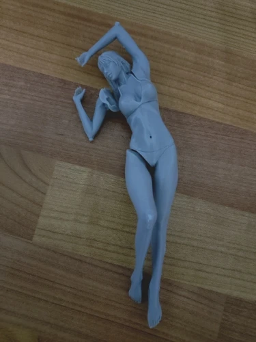 Buyer photo of this resin kit