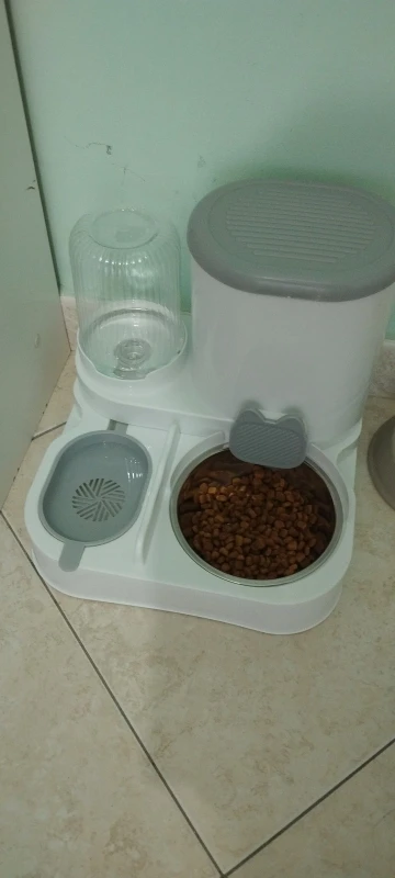 Customer review photo for Dual-Bowl Automatic Cat Feeder for Two Pets
