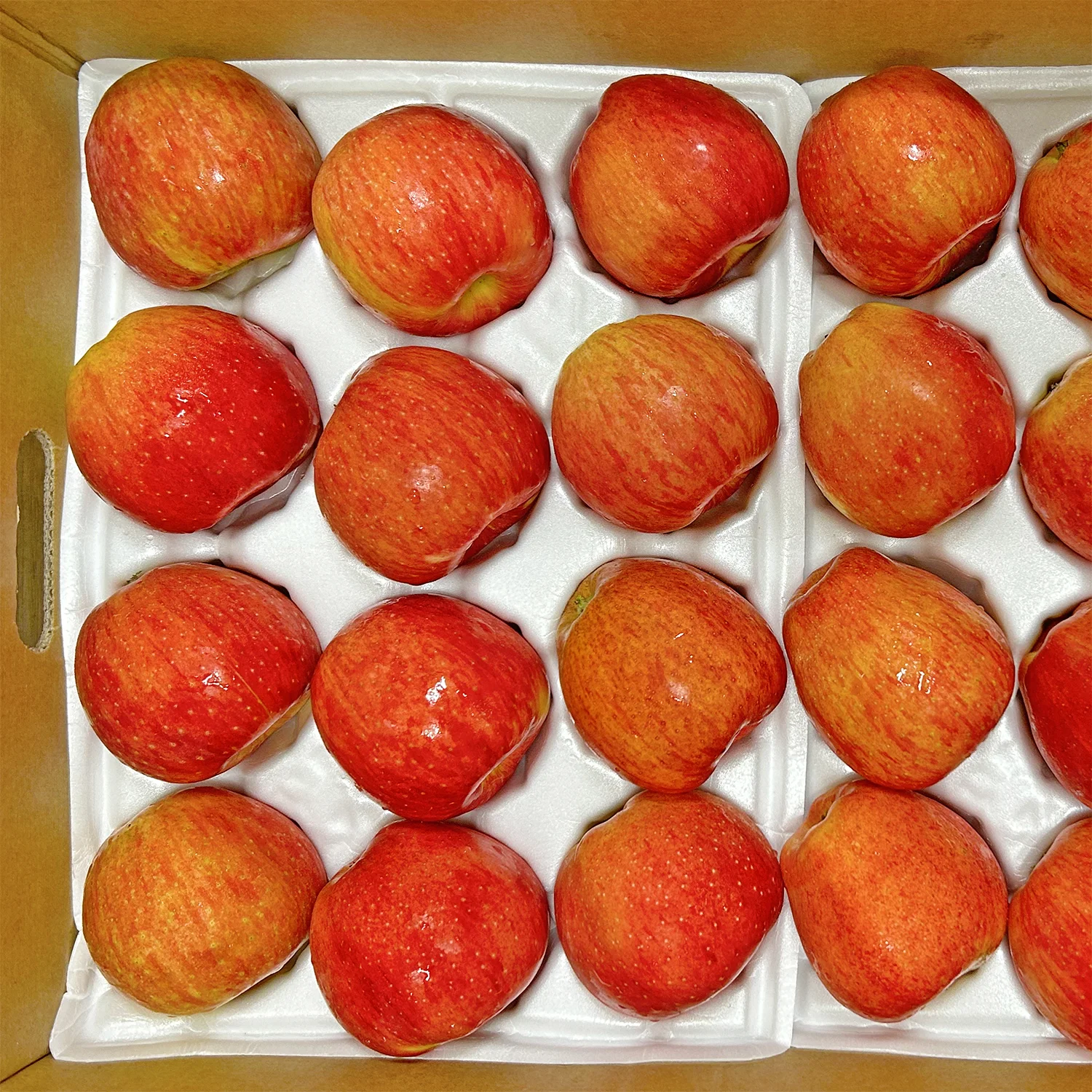 5kg of seasonal red apples (random and)/small quantity deals