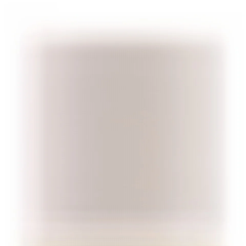 Maximumcatch 100% żyłka muchowa z fluorowęglowym końcem w przezroczystym kolorze 50M 0X/1X/2X/3X/4X/5X/6X żyłka muchowa — zdjęcie 2