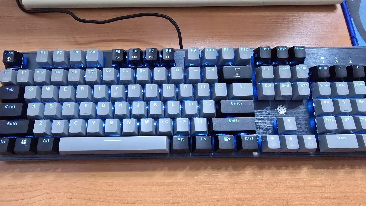실물 포토 리뷰
