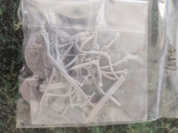 Buyer photo of this resin kit
