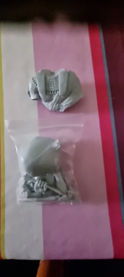 Buyer photo of this resin kit