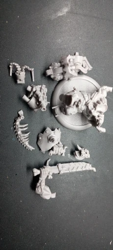 Buyer photo of this resin kit