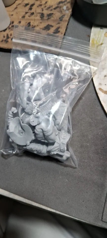 Buyer photo of this resin kit