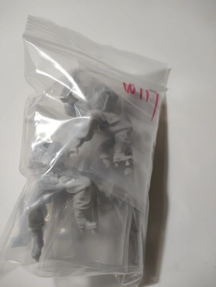 Buyer photo of this resin kit