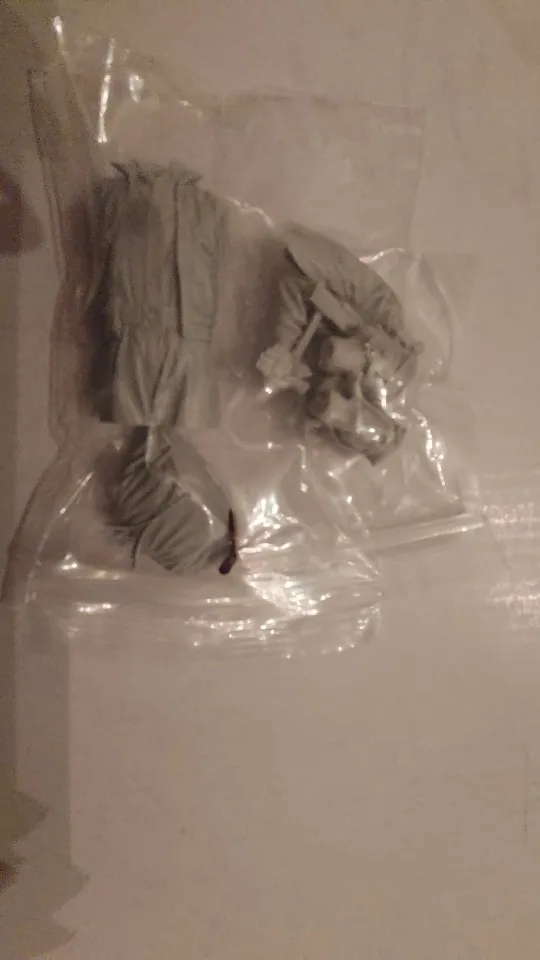 Buyer photo of this resin kit