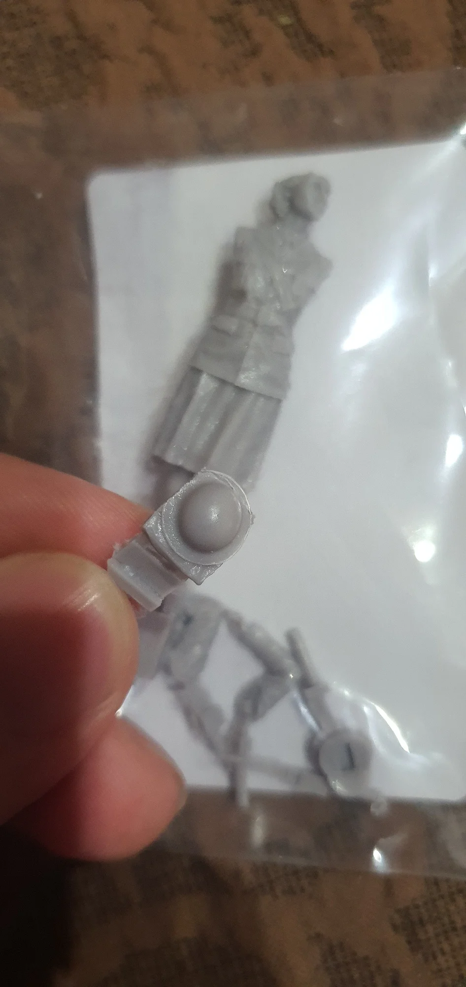 Buyer photo of this resin kit