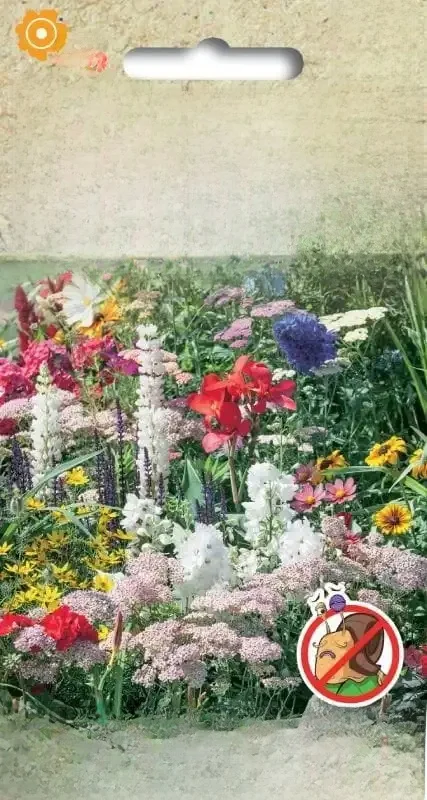 Mélange de graines de fleurs anti-espion pour jardin domestique 2G-TORAF