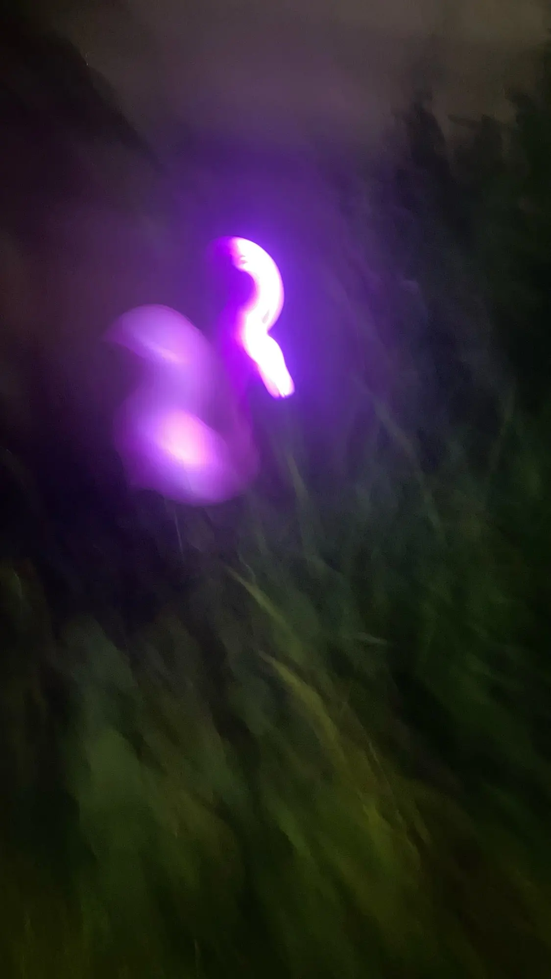 1 Pc Outdoor Solar Lights Flamingo Garden Led Stake Light Pathway Lawn Yard Landscape Halloween Christmas Decorative Lights photo review