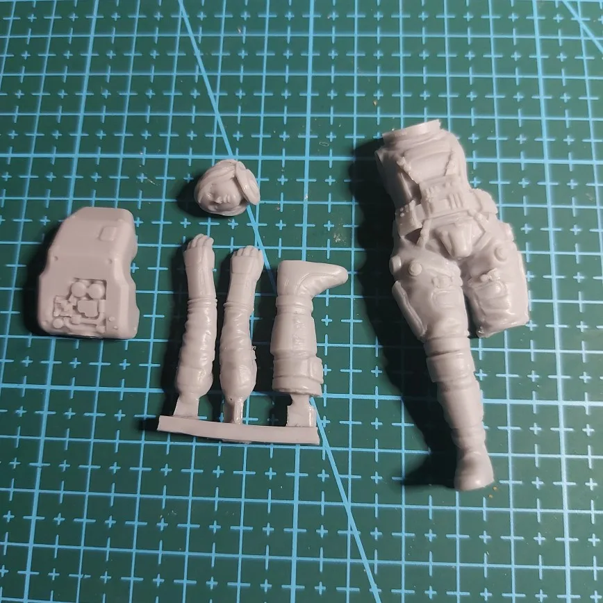 Buyer photo of this resin kit