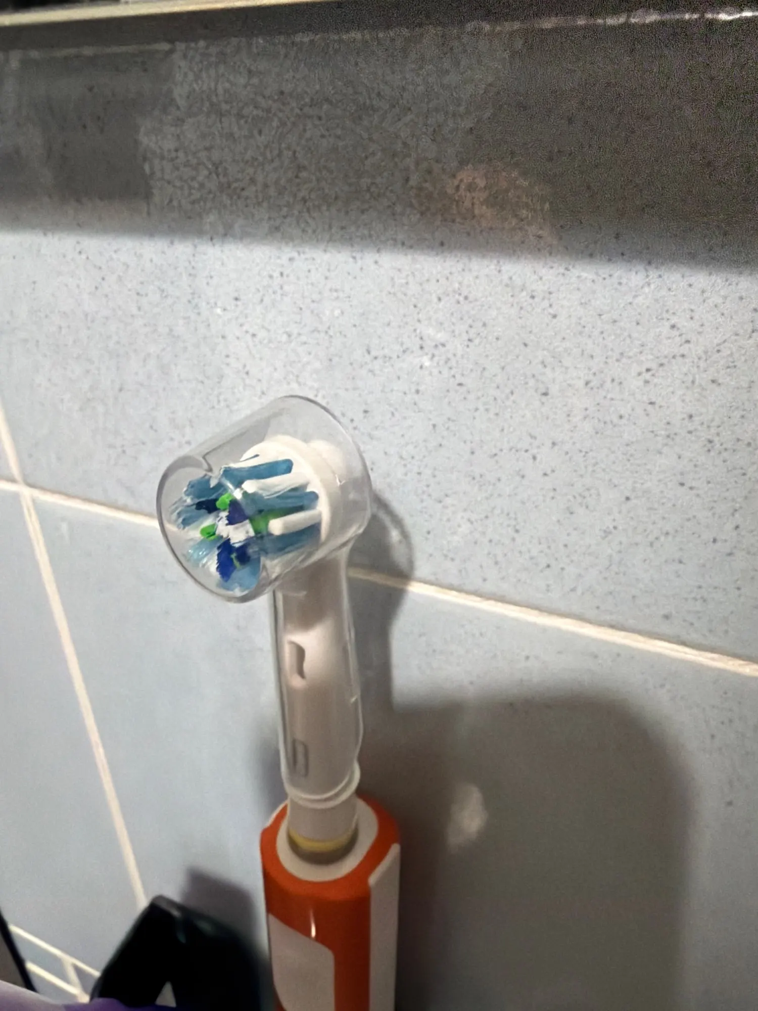 구매후기