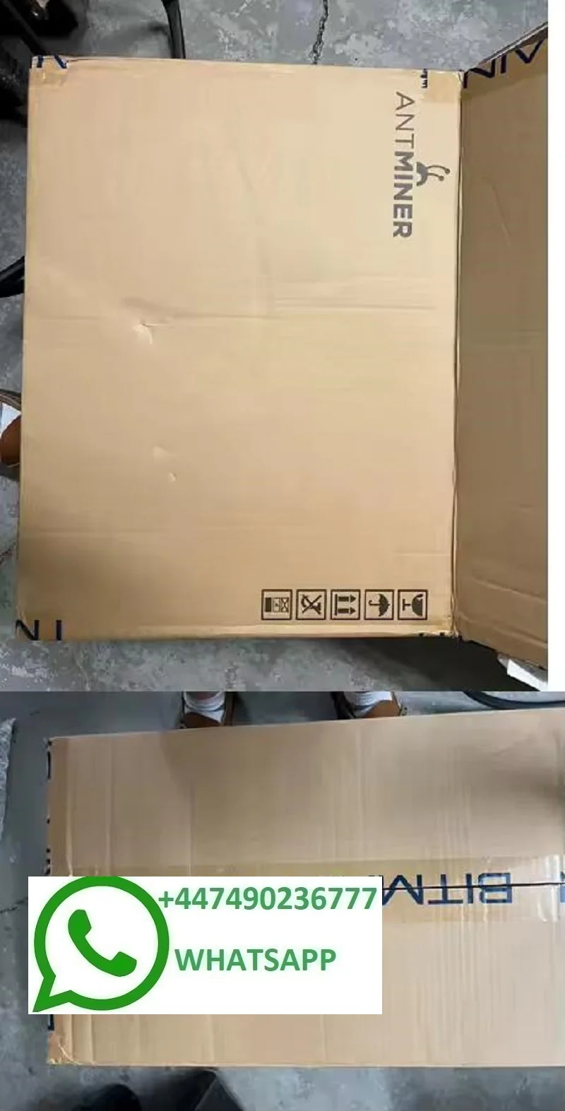 Mineiro de moeda SA Antminer L9 16GHS 3360W LTC DOGE