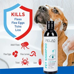 Shampooing et Après-Shampooing 2 en 1 pour Animaux de Compagnie, Hydratant Naturel, pour Chien, pour Peau Sensible, PH