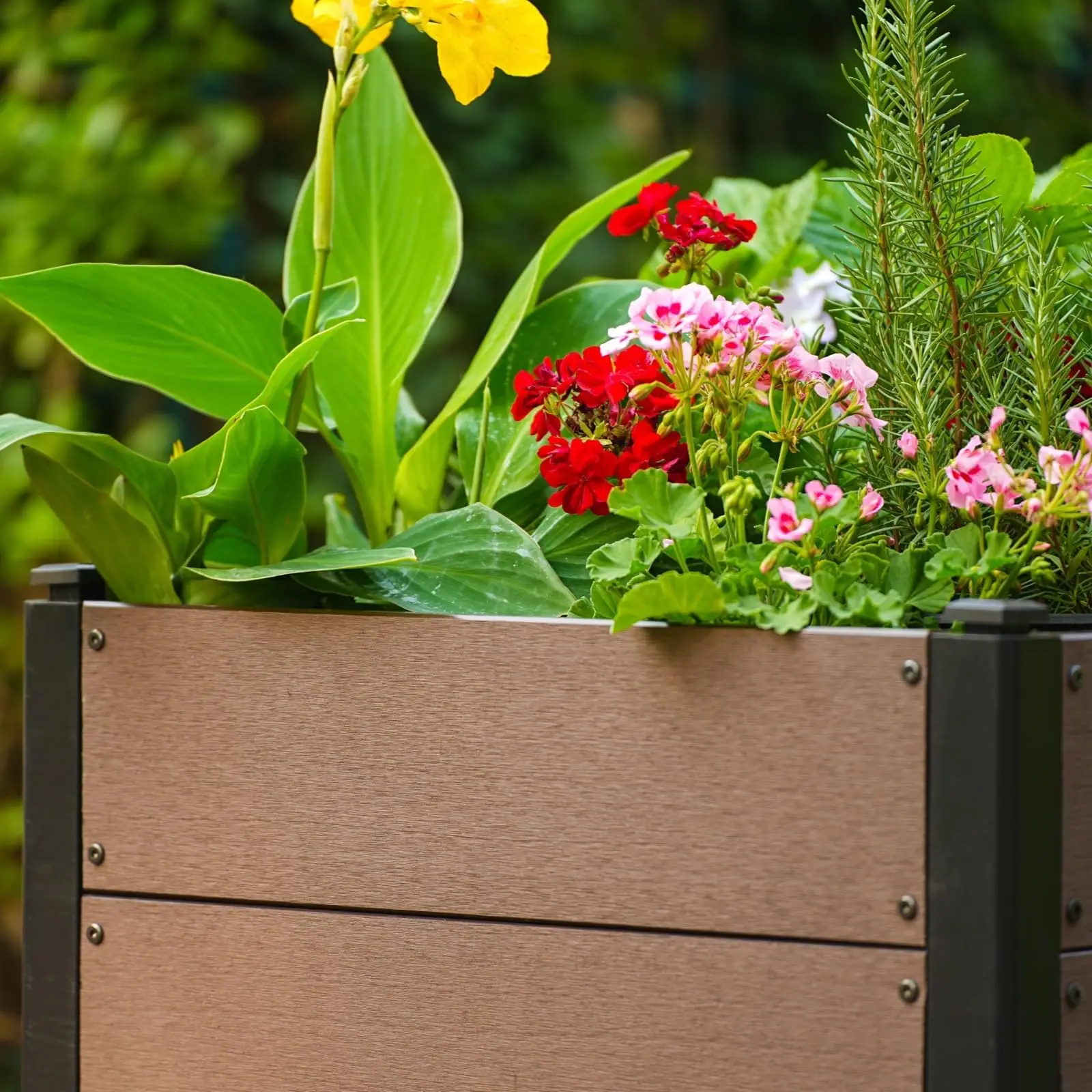 Jardinera Elevada de Madera para Jardín 64X64X60Cm—Con Fondo Abierto, Rectangular, Jardinera, Caja para Vegetales, Caja para Flores, para Patio y Balcón, Resistente a la Intemperie y Fácil de Montar, Marrón