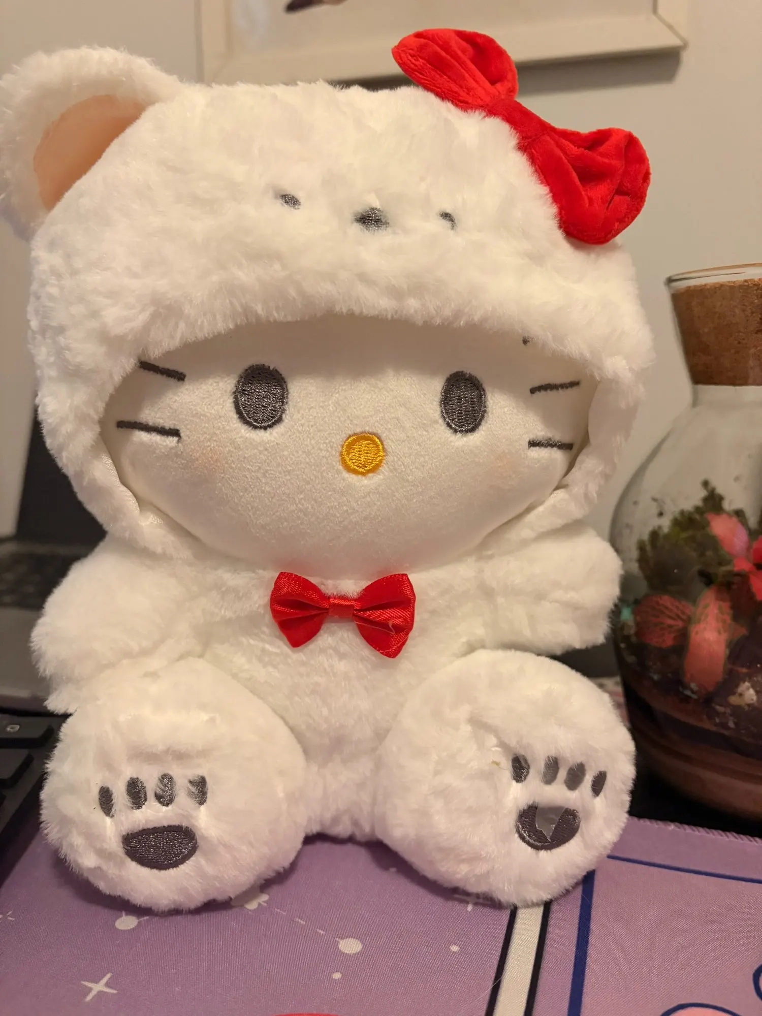 실물 포토 리뷰