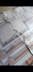 Imagen de reseña 3